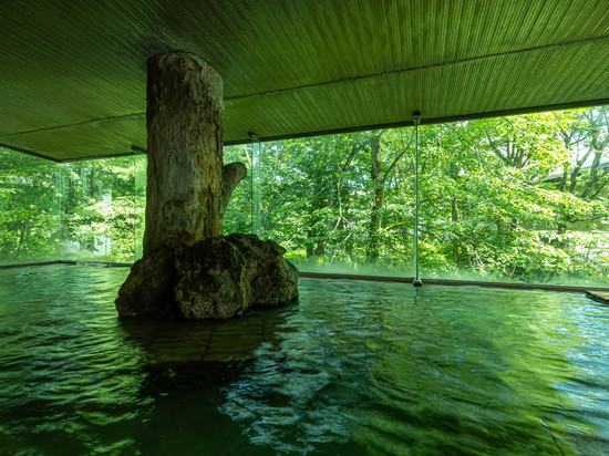 龟乃井酒店-田泽湖
