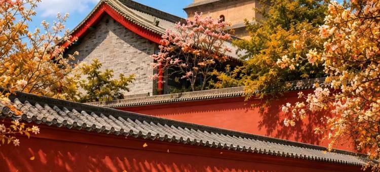西安·戴维斯丨Skyview Baywindow(科技二路地铁站店)图片