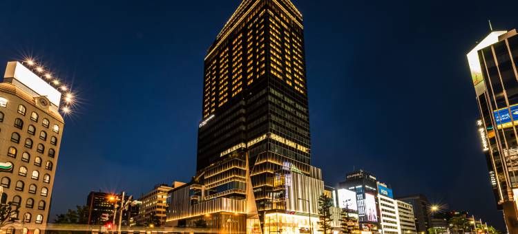 大门酒店大阪 by HULIC(THE GATE HOTEL OSAKA by HULIC)图片