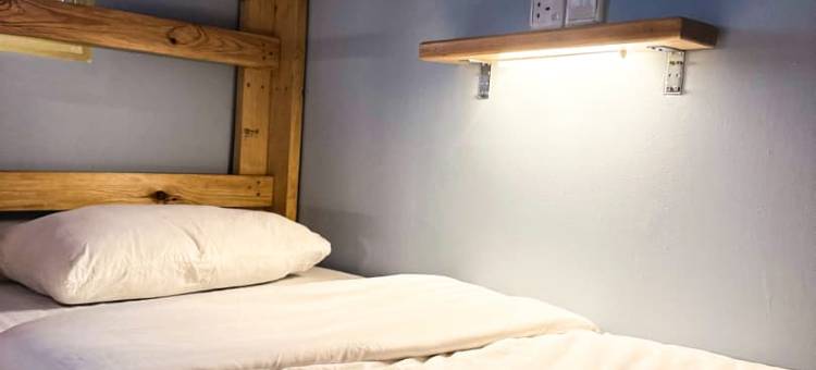 Alpaca Club Homestay图片