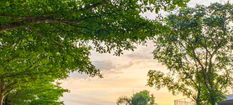 塞瑞格兰度假村(Seree Grand Resort)图片