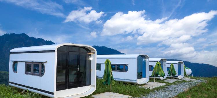 王岗坪脱壳龟生态营地图片