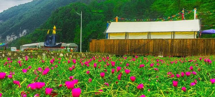 千谷·花屿山居图片