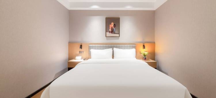 梵拉图酒店(天府国际机场楠山居店)图片