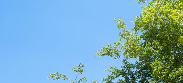 淮北中湖苑酒店图片