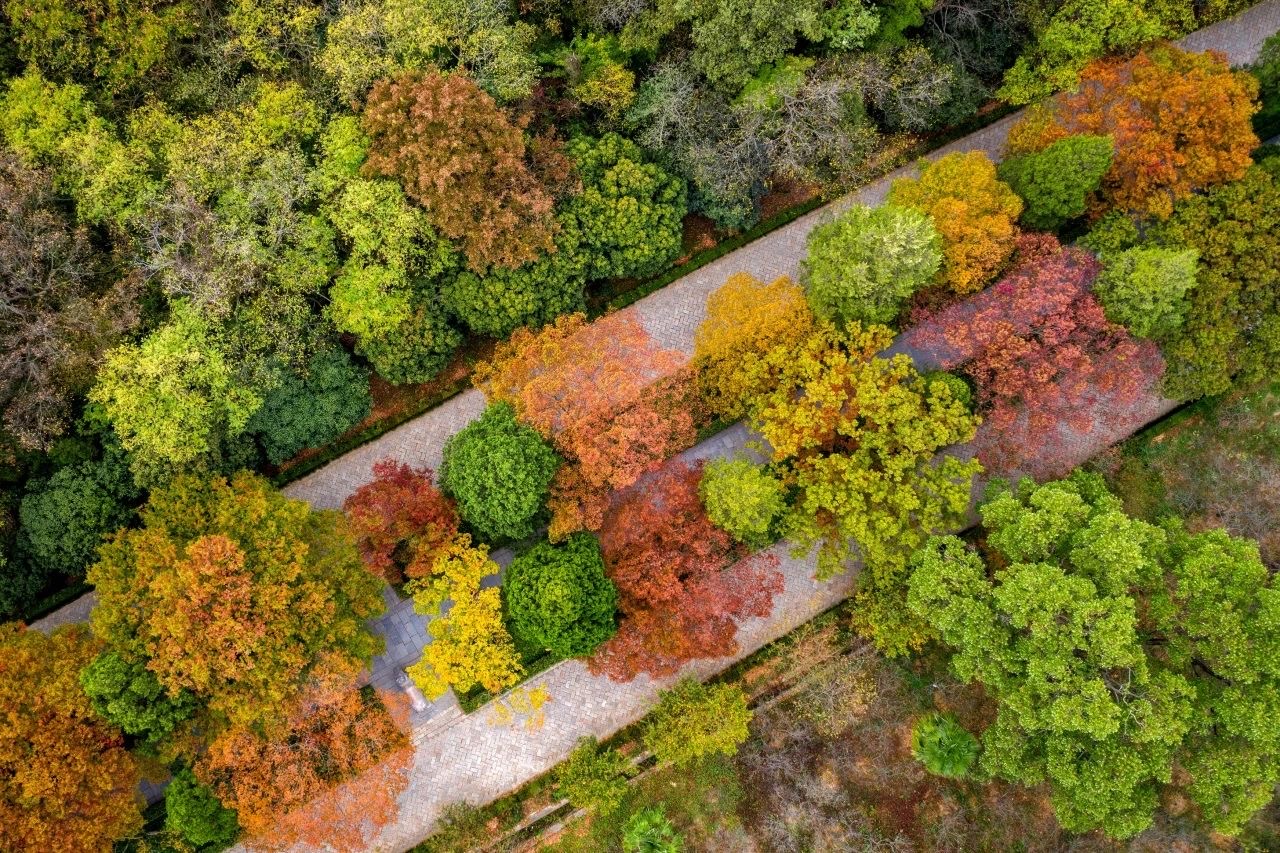 Nanjing International Conference HotelOver view