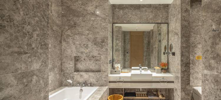 南京集萃金陵嘉珑酒店图片