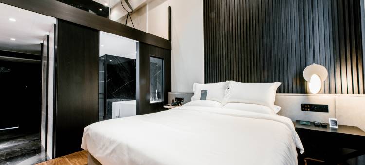 凯悦酒店(新乡市政府高铁东站店)图片