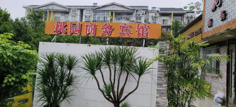 桃园商务宾馆图片