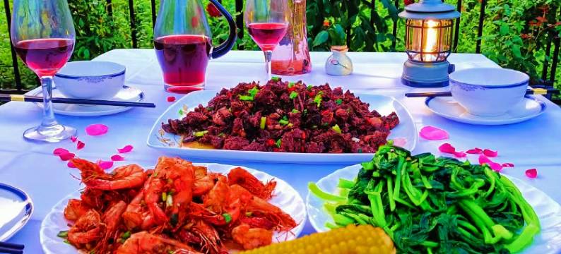 乐昌莲华山居图片