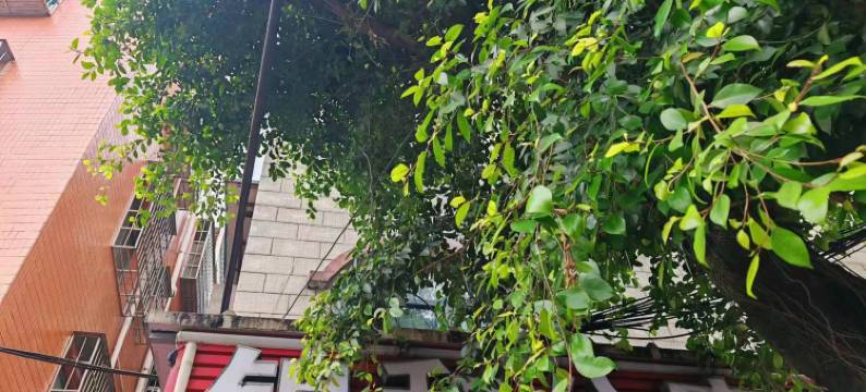 锦和公寓(广州大学城店)图片