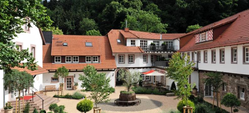 Relais & Châteaux 哈登堡城堡酒店(Relais & Châteaux Hardenberg BurgHotel)图片