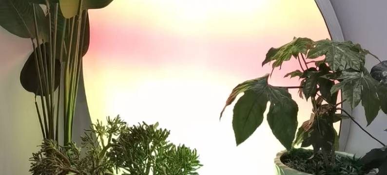 幸福回家酒店(大理高铁站洱海公园店)图片