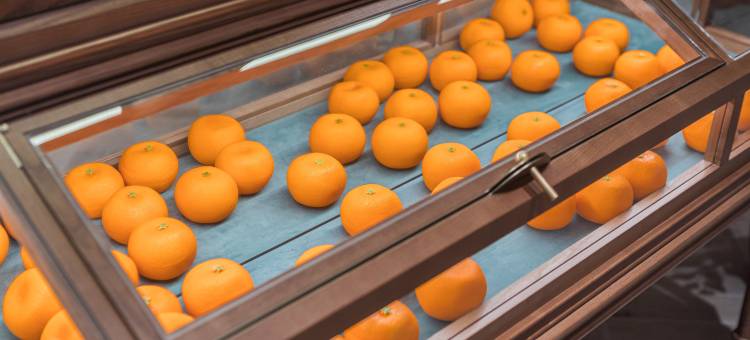 桔子酒店(天津武清佛罗伦萨小镇店)图片