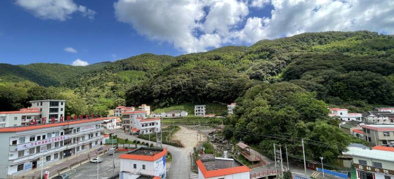 陆河两山森林康养民宿(万东店)图片