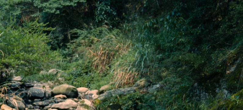 美客爱途民宿图片