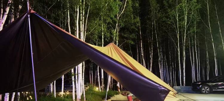 水韵雅居别墅酒店(初心广场中国漠河美食一条街店)图片