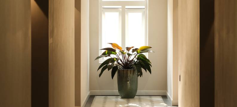 保罗·查博特酒店(Paul Chabot Hotel)图片