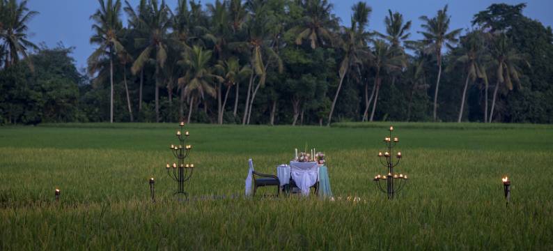 塔娜伽嘉哈迪普拉纳度假村(Tanah Gajah, a Resort by Hadiprana)图片