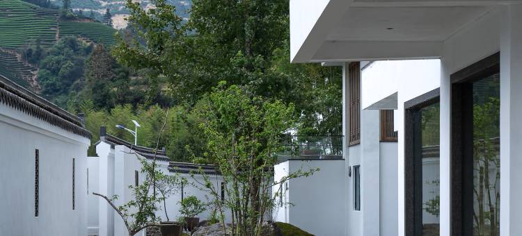 花筑奢·武夷山自在一味茶庄园民宿图片