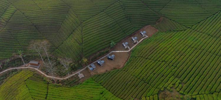 Bobocabin Pangalengan, 万隆(Bobocabin Pangalengan)图片