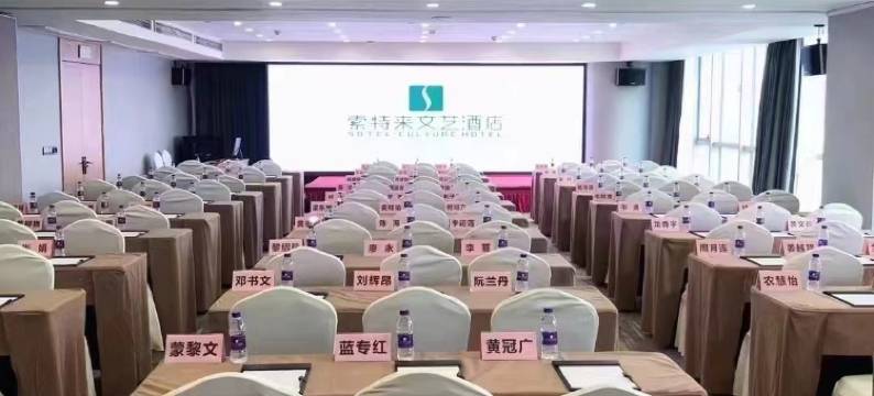 索特来文艺酒店(温州动车南站店)图片