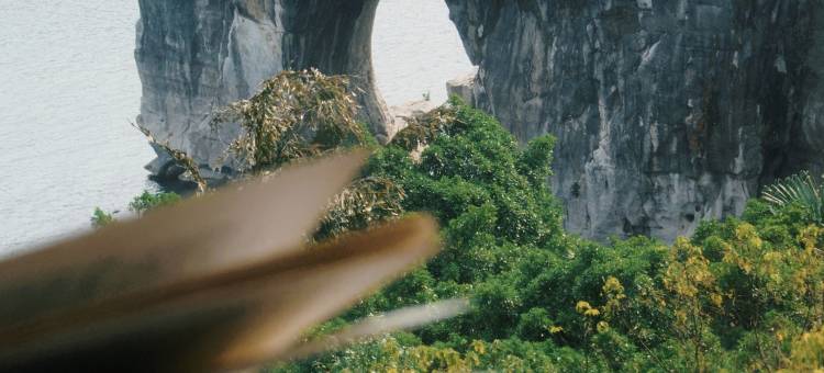 桂林璟象酒店(象鼻山景区两江四湖店)图片