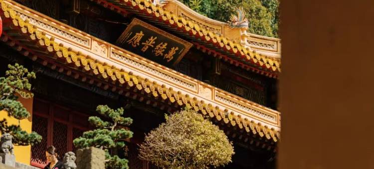 普陀山君和喜悦民宿(普济寺店)图片