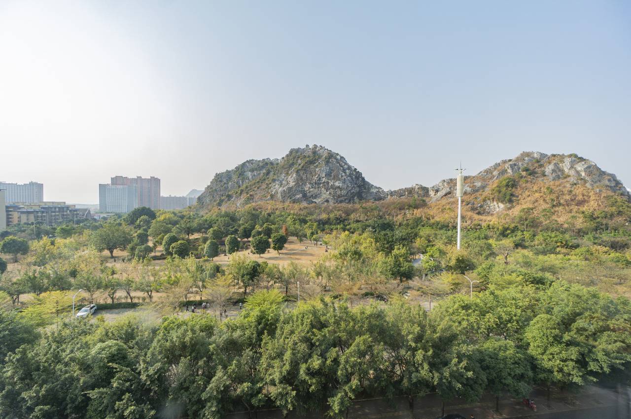 红叶大酒店(南宁华侨城大帽天街店)图片