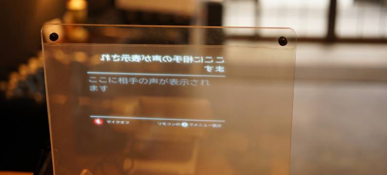 奈良日式旅馆(Nara Ryokan)图片