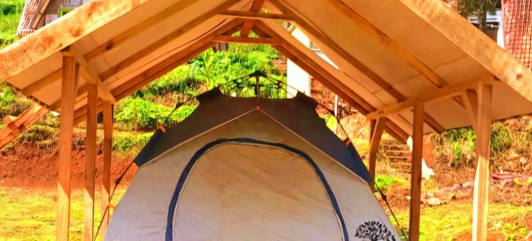 丛林别墅奇维迪(Ciwidey Jungle Camp & Villa)图片