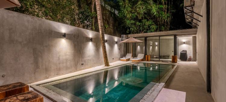 Jungle Vista Boutique Suites Ubud图片