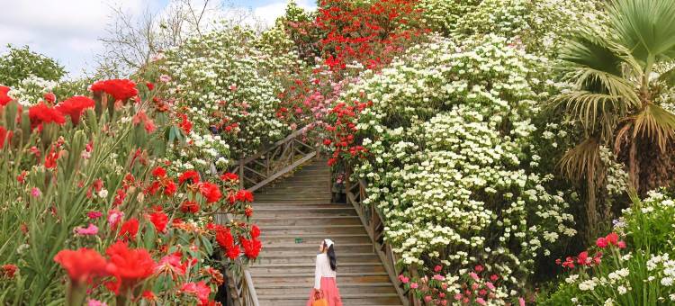 黔花之筑·巨幕轻奢花海酒店(黔西高铁站步行街店)图片