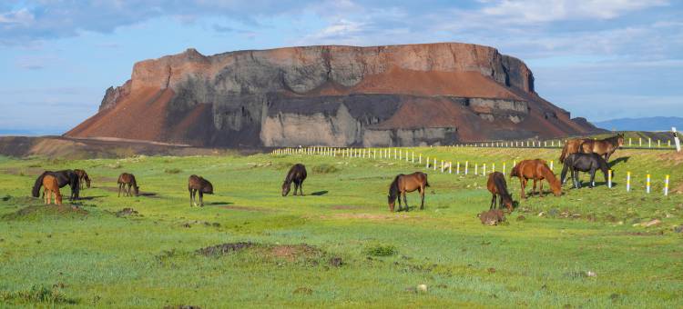 牧野星空民宿(乌兰哈达火山地质公园店)图片