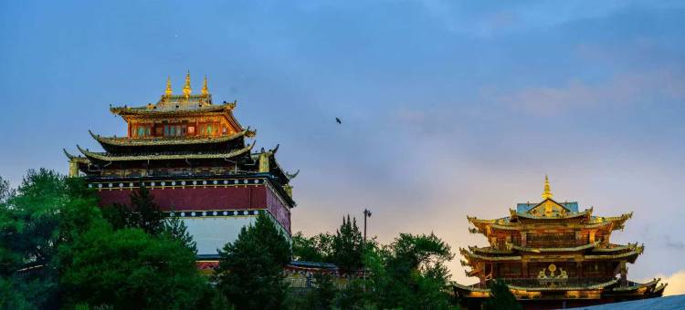 香格里拉雪见·HALF观景民宿(独克宗古城大佛寺转金筒店)图片