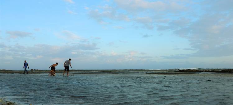 Sinergi的海边沙央赫乌朗(Seaside Sayang Heulang by Sinergi)图片