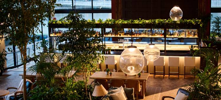 1酒店墨尔本(1 Hotel Melbourne)图片