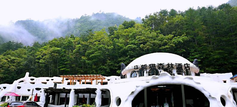 佛坪熊猫森林酒店图片