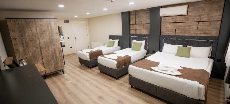 米拉套房塔克西姆(MİLA SUİTES TAKSİM HOTEL)图片