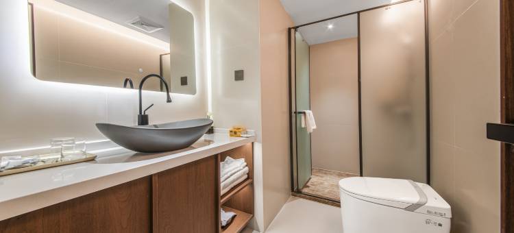 繁城云墅酒店(石家庄裕华万达广场店)图片