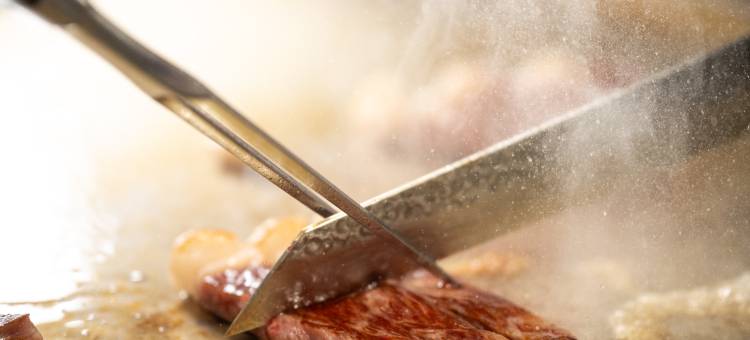 雾岛脉动(THE PULSE KIRISHIMA)图片