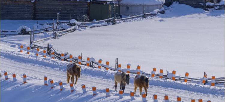 深山见•山野如许•自然美学花园庭院民宿(白哈巴老村店)图片