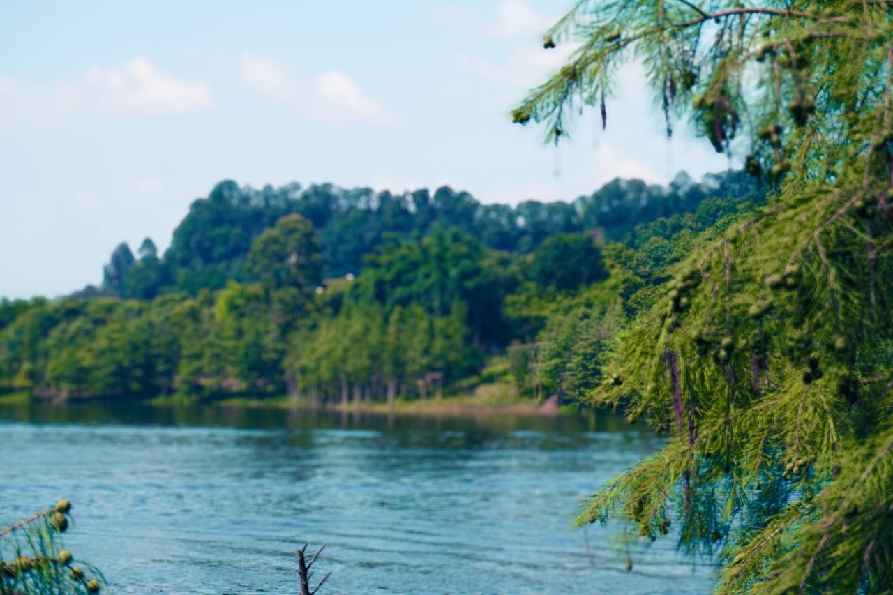 重庆长寿湖希尔顿欢朋酒店图片