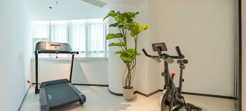 丽斯未来酒店(深圳龙城广场地铁站店)图片