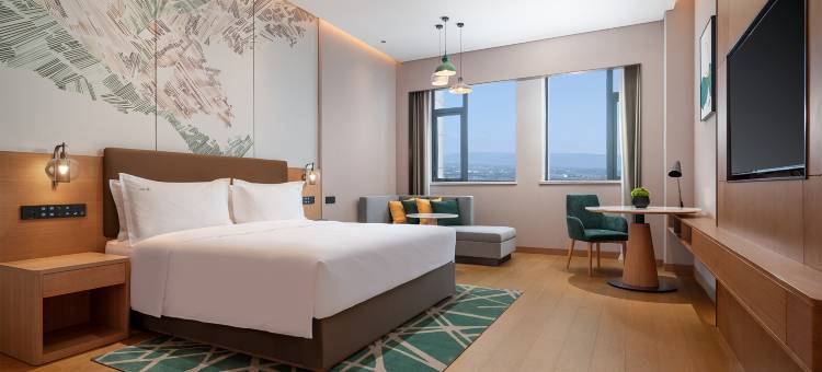 渭南高新假日酒店图片