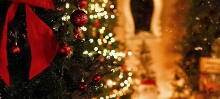 大理洱煦小院民宿(龙龛码头店)图片