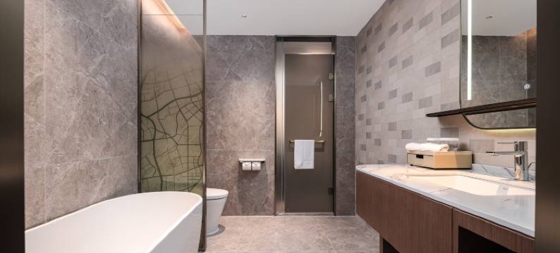 上海漕河泾开发区润昇希尔顿花园酒店图片