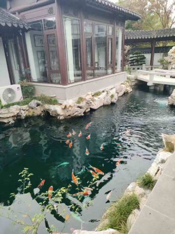 瑞江庭院·江南园林美宿(太湖东山店)图片