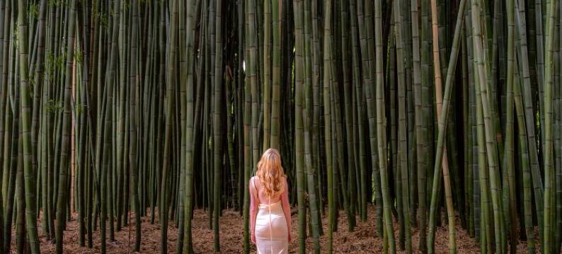 哈纳山林小屋(Hana Lodge)图片