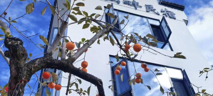 稻山畔·Art design Loft|轻奢民宿(黄山北站西溪南古村落店)图片